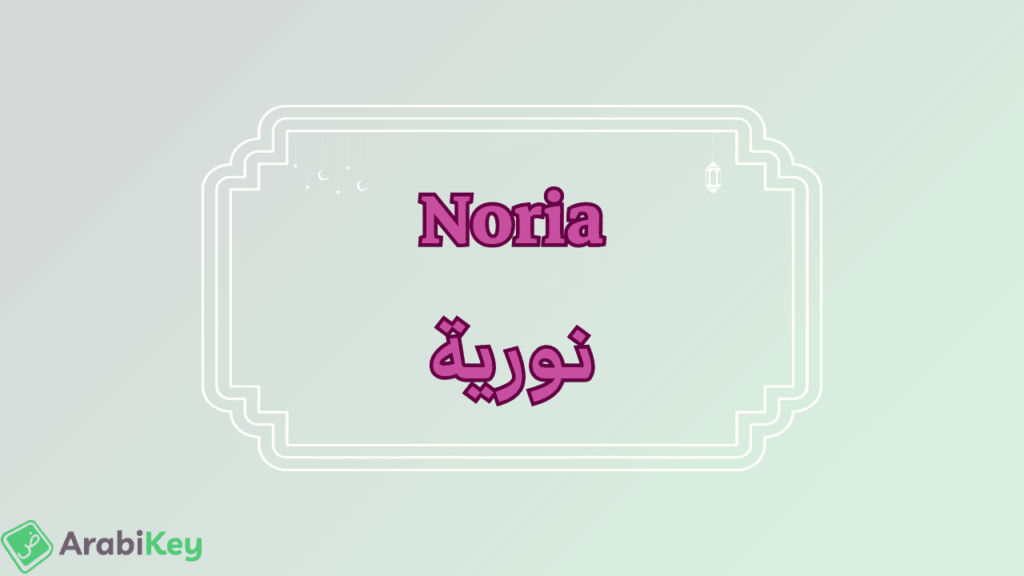 meaning of Noria