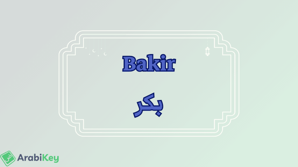 meaning of Bakir