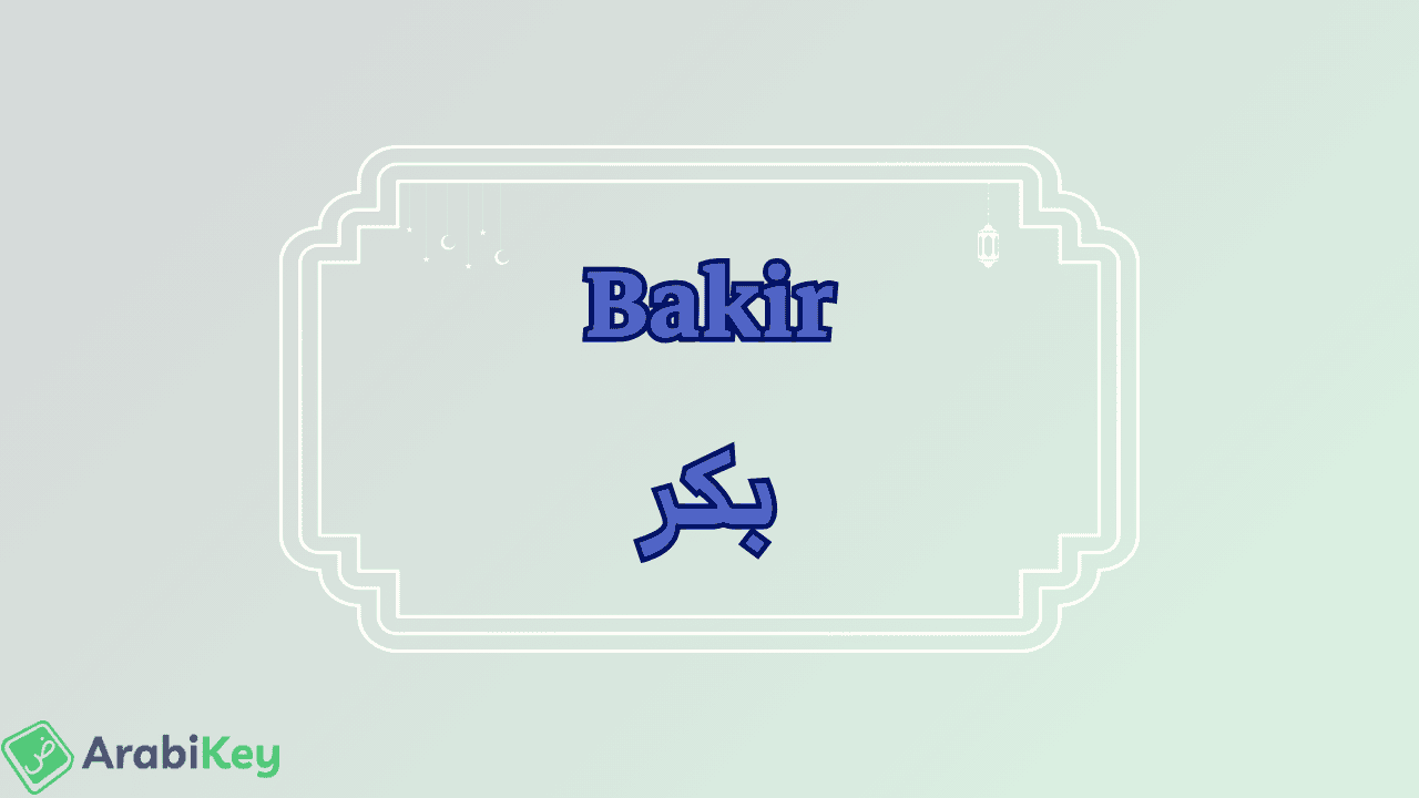 meaning of Bakir